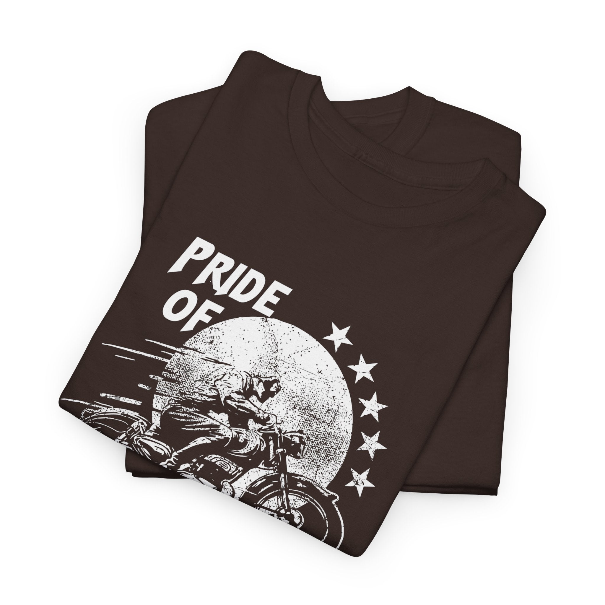 American Biker T Shirt Pride of American Road Motorcycle Tee Vintage Rider Shirt Gift for Bikers